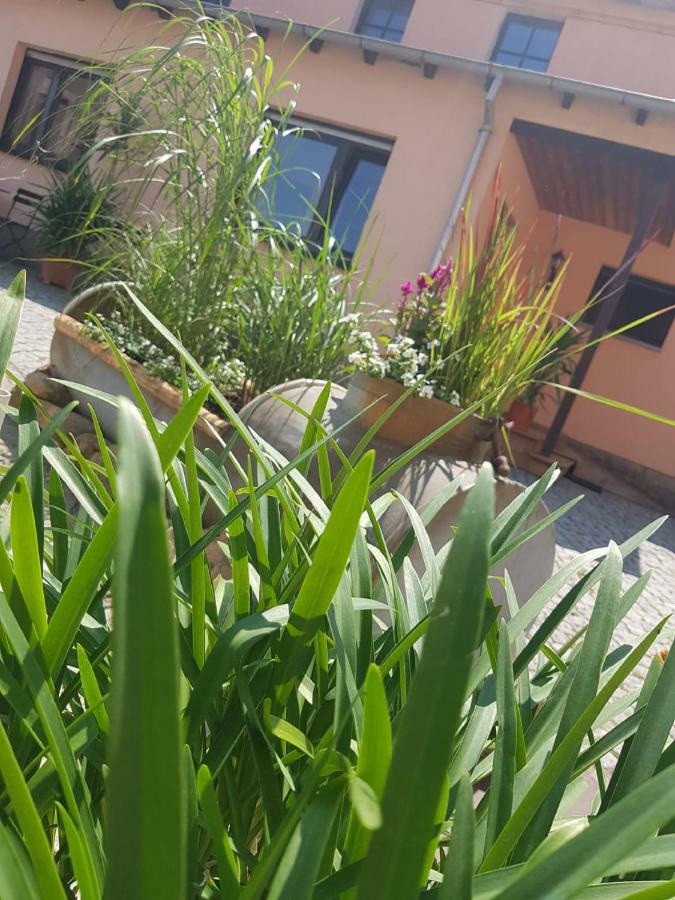 Hotel "Pension Marlis" Garni Reichenberg  Bagian luar foto